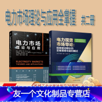 [友一个正版]套装 电力市场理论与应用全掌握 共2册 电力市场导论 信息驱动增长的交易策略与盈利模式 电力市