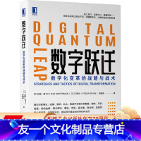 [友一个正版] 数字跃迁 数字化变革的战略与战术 拉兹 海飞门 转型 互联网 人工智能 管理 组织 风口 机遇 技