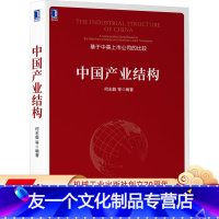 [友一个正版] 中国产业结构 何志毅 基于中美上市公司的比较 市值 销售收入 利润 市盈率 利润率 机械工业出版社