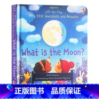 [正版]月亮是什么 英文原版 What is the Moon Usborne 尤斯伯恩 幼儿英语启蒙认知 英文版单词