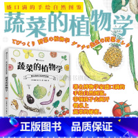 单本全册 [正版] 蔬菜的植物学 盛口满的手绘自然图鉴 儿童插图科普百科绘本书籍