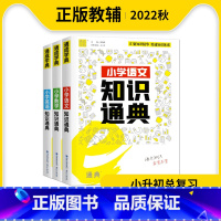 小学语文 小学通用 [正版]2023通城学典小学知识通典通用版人教版语文数学英语小学生一二三四五六年级小升初资料包大集结