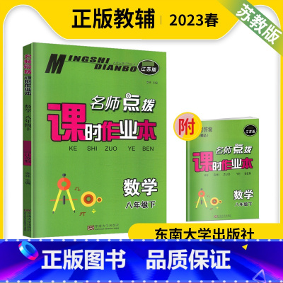 数学 八年级下 [正版]2023春名师点拨课时作业本数学八年级下江苏版初二2下册数学学习资料教辅习题书数学8年级下册数学