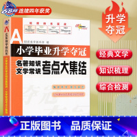 [正版]2023新版小学毕业升学夺冠名著知识文学常识考点大集结68所名校教科所语文基础训练中外经典文学作品知识梳理综合