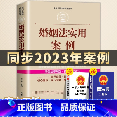 [正版]全案例讲解婚姻法实用案例以案释法解读婚姻家庭法婚姻法同步2023年案例结婚离婚子女财务纠纷司法解释条文婚姻家庭