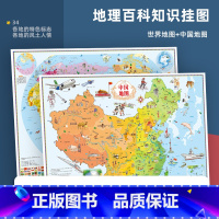 [正版]中国地图挂图2021年新版中国地图和地图墙贴儿童房大尺寸地图小尺寸儿童版地理百科知识撕不烂初中学生小学生用中华