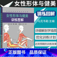 [正版]女性形体与健美训练图解 详细的肌肉运动方式的解剖学插图 了解和掌握了这些运动方式 马克韦勒 978753315