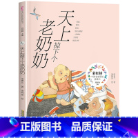 [二年级]天上掉下个老奶奶 [正版]2023广东朝阳读书香河南二年级课外书 天上掉下个老奶奶汤素兰著 书香黔贵打卡阅读彩