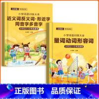 [共2本]量词形容词+近义反义词 小学通用 [正版]小学生词语积累大全成语训练大全重叠量词近义反义词四字词汇专项训练同音