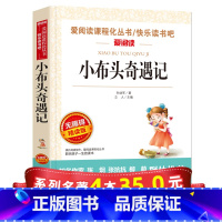 [正版]系列4本35爱阅读 小布头奇遇记孙幼军 小学一二年级课外书 孙幼军童话精选 小学生课外阅读书籍 三年级 老师经