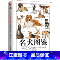 [正版]名犬图鉴 宠物犬特征与习性大全 宠物狗喂养常识饮食护理 爱犬人士应用手册 宠物犬科普知识百科全书 家庭亲子科普