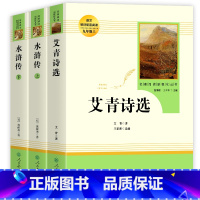 9年级 艾青诗选+水浒传(人教版) 初中通用 [正版]2023卷霸初中名著导读测试卷七八九年级789初一二三名著导读考点