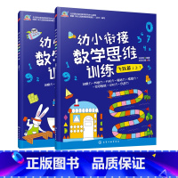 [正版]幼小衔接数学思维训练 飞跃篇 上下2册 蒙台梭利教育研究中心 专为3-6岁孩子编写 每册60个游戏训练数学