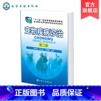 [正版]宠物疾病诊治 孙维平 第二版 宠物安全卫生饲养指南 兽医店开店 宠物疾病诊疗与处方手册 宠物猫狗常见疾病防治诊