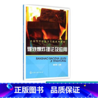 [正版]燃烧爆炸理论及应用 潘旭海 燃烧爆炸基本原理 燃烧爆炸危险性物质及特性 燃烧爆炸事故后果分析爆炸危险性物质燃爆