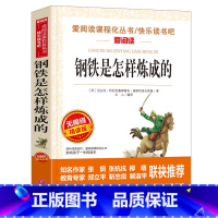 [八年级下册必读]钢铁是怎样炼成的 [正版]钢铁是怎样炼成的 爱阅读名著课程化丛书青少年初中小学生四五六七八九年级上下册