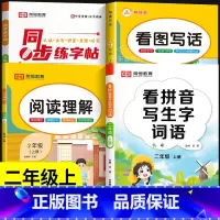 [4本]同步练字帖+看图写话+阅读理解+看拼音写词语 二年级上 [正版]二年级上册字帖练字帖同步人教版语文生字帖写字课课