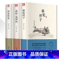 [正版]老舍经典作品全3册 四世同堂/骆驼祥子/茶馆龙须沟 老舍选集现当代小说 文学文化哲学宗教书籍作品集散文书籍LL