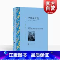 [正版]巴黎圣母院 译文名著精选 雨果著 管震湖译 世界名著书籍 外国文学小说书籍 外国名著经典读物 上海译文出版社