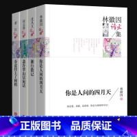 [正版]文学 书 林徽因你是人间的四月天+沈从文湘行散记+萧红春意挂上了树梢+徐志摩翡冷翠山居闲话散文集 共4册教育书