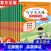 写字天天练(语文同步练字帖) 一年级上 [正版]2023新小学语文字帖写字天天练 一二三年级上册下册四五六年级同步练字帖