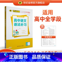 高中语文语法补习 高中通用 [正版]2024新版高中语文语法补习专项训练 高一高二高三语文现代汉语实词虚词古代汉语通假字