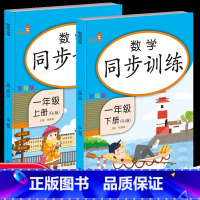 [正版]数学同步训练1一年级上下册 人教版RJ乐学熊小学生1年级课堂书本专项训练习题课外阅读一课一练同步练习册口算天天