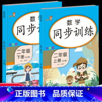 [正版]数学同步训练二年级上下册 人教版RJ乐学熊小学生2年级课堂专项训练习题课外阅读一课一练同步练习册天天练作业本每