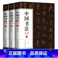 [正版]全3册 中国书法大全 从入门到精通学书法颜体石门颂礼器碑曹全碑张迁碑中国传世书法技法书法大全基础入门书籍 硬笔