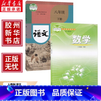 [正版]鲁教版54五四制初中八8年级下册人教版语文鲁教版数学教科书 五四学制 初中三3年级 八8年级人教版语文鲁教版数