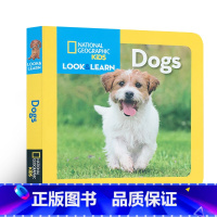 [正版]国家地理少儿版系列 英文原版分级百科全书读物 Look and Learn: Dogs 狗 儿童入门启蒙纸板阅