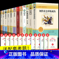 [7-9年级]初中生必读名著(全套12册) [正版]初中必读名著十二本人教版七八九年级上下册课外书红星照耀中国和昆虫记鲁