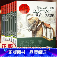 [全套8册]沈石溪动物小说全集 [正版]沈石溪动物小说画本全集珍藏版套装8册大全系列儿童小学生三四五六年级课外阅必书籍读