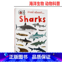 [正版]英文原版 Mad About Sharks 让人着迷的鲨鱼 海洋生物动物科普 精装