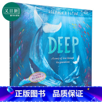 [正版]Stephen Hogtun:Deep 深海(精装) 英文原版 动物及动物故事 进口童书 儿童绘本 动物故事图