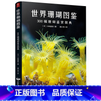 [正版]世界珊瑚图鉴:300幅珊瑚鉴赏图典海洋植物图鉴大全花样 一本书囊括珊瑚的体态习性饲养和繁殖珊瑚饲养喂养养殖鉴赏