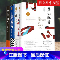 生死疲劳+晚熟的人+蛙+丰乳肥臀 [正版]全套 莫言文学小说集诺贝尔获奖作品生死疲劳鳄鱼晚熟的人 丰乳肥臀 蛙 套装红高