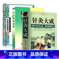 [正版]3册 针灸大成+针灸案例荟萃+针灸甲乙经白话精解中医针灸学入门灸疗基础理论零基础学针灸六讲取穴方法大全黄帝内针