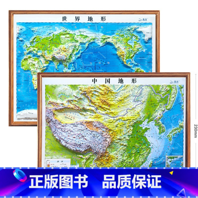 [正版]3D凹凸立体中国地形图+世界地形图(套装共两册)中国立体地图 3D技术打印等比还原真实面貌 建立空间感 激发地