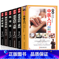 [正版]全六册 图解中医入门+经典伤寒论+金匮要略+黄帝内经素问+灵枢经中医临床丛书中医自学入门书古籍汉张仲景诊中医书