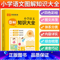 小学语文 图解 知识大全 小学通用 [正版]2022新版小学语文知识大全图解语法数学英语小学生一年级二年级三年级四五六年