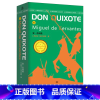 堂吉诃德(上下) [正版]堂吉诃德 [Don Quixote] 世界经典英语文库 英语读物 辽宁人民出版社