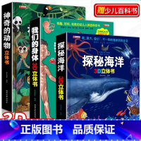 [全套3本]我们的身体+海洋+动物3d立体书 [正版]我们的身体儿童3d立体书6岁以上7-8-10岁翻翻书宝宝绘本4-5