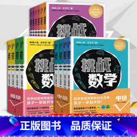 全14册]挑战数学初级+中级+高级 [正版] 挑战数学初级+中级+高级全14册 幼小数学衔接 儿童数学启蒙思维培养 举一