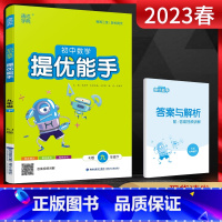 数学 九年级下 [正版]2023春通成学典 初中数学提优能手九年级下册数学人教版RJ 初三9年级下学期同步提优训练辅导资