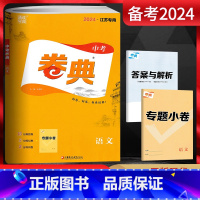 中考语文 江苏省 [正版]备考2024 江苏卷典中考语文 江苏中考真题卷模拟卷导向卷 江苏13十三大市中考真题卷初三九年