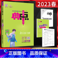 数学 八年级下 [正版]2023春 典中点八年级下册数学人教版RJ 荣德基典中点八下数学初二八年级下学期数学同步课时作业