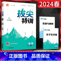 物理 九年级下 [正版]2024春通城学典拔尖特训 物理 九年级下册苏科版SK初中初三同步课时作业训练培优班尖子生提优特