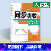 [正版]同步奥数培优 人教版数学五年级上册下册全一册 奥数思维训练 奥数天天练 安徽人民出版社