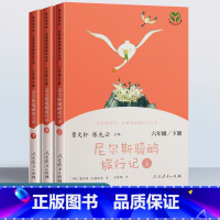 《尼尔斯骑鹅旅行记 上中下》六下 [正版]六年级下册人民教育出版社尼尔斯骑鹅旅行记汤姆索亚历险记爱丽丝漫游奇境鲁滨逊孙漂